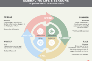 Embracing Life’s Seasons for Greater Health Focus and Balance