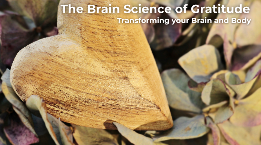 The Brain Science of Gratitude-